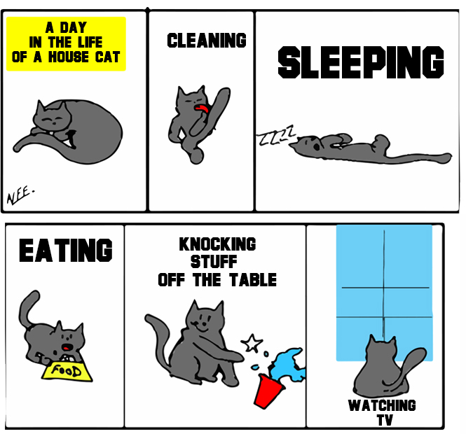 A Day In The Life Of A Cat By ALEE The Anonymous Art