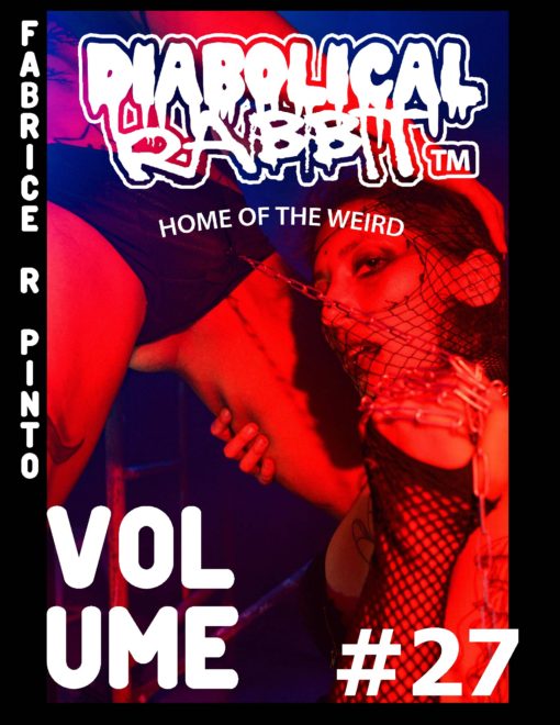 Get The Latest Diabolical Rabbit Magazines Here