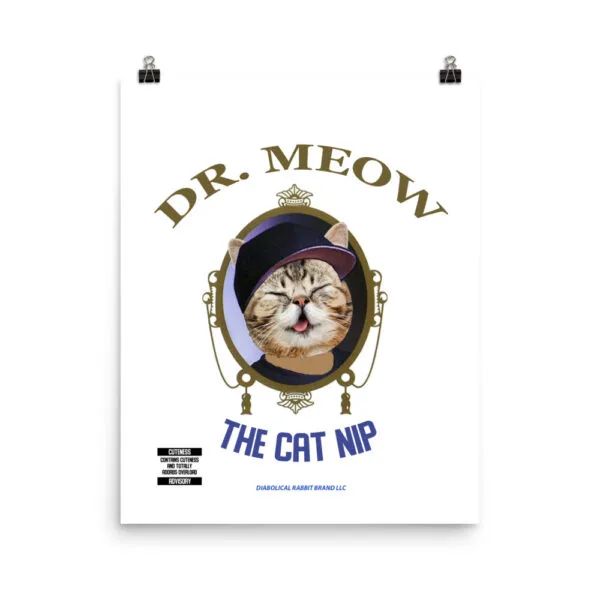 Dr. Meow And The Catnip Poster
