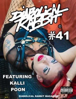 Diabolical Rabbit Magazine Volume 41