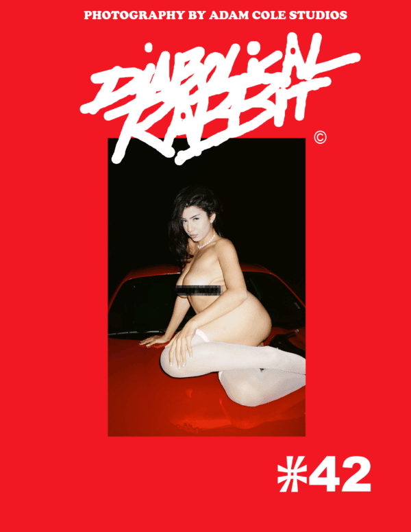 Get The Latest Diabolical Rabbit Magazines Here